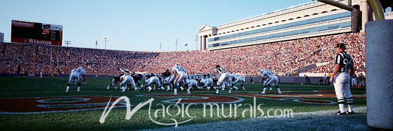 Soldier Field Bears Chicago 2924 Wallpaper Wall Mural