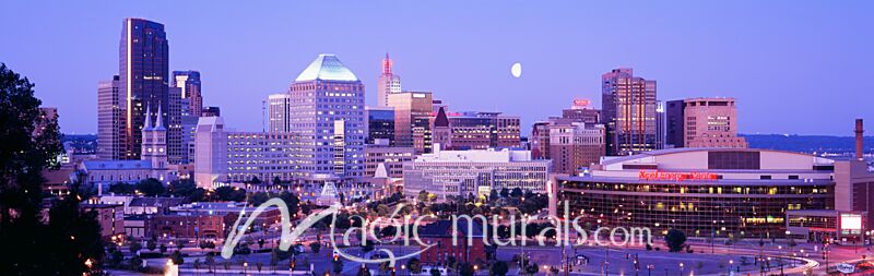 St Paul Skyline 4311 Wallpaper Wall Mural