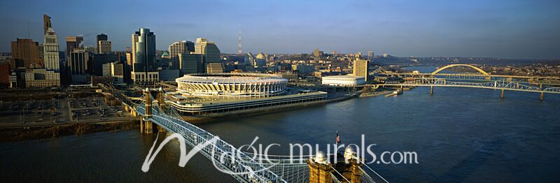 Roebling Bridge Cincinnati 4976 Wallpaper Wall Mural