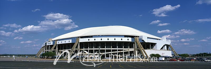 Texas Stadium 5574 Wallpaper Wall Mural