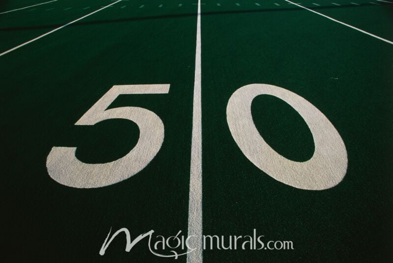 50 Yard Line 5581 Wallpaper Wall Mural