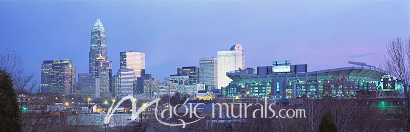 Charlotte NC Skyline 5922 Wallpaper Wall Mural