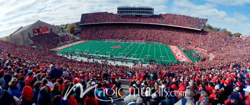 U Wisconsin Football Fans 7025 Wallpaper Wall Mural