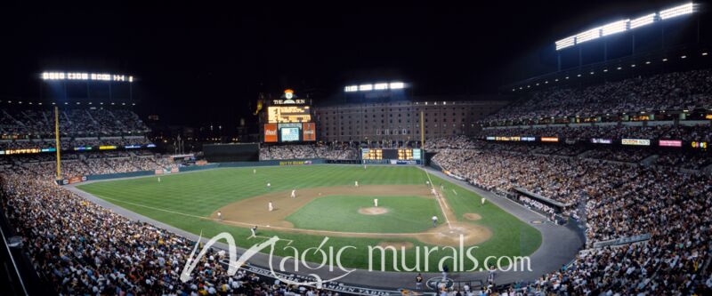 Camden Yards Baltimore 9376 Wallpaper Wall Mural