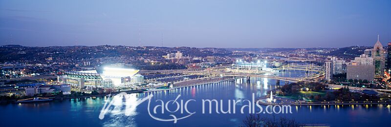 Pittsburgh Skyline 1505 Wallpaper Wall Mural