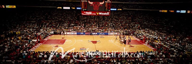 Bulls v Suns at Chicago 8168 Wallpaper Wall Mural