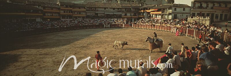 Bullfighting in Spain 0776 Wallpaper Wall Mural