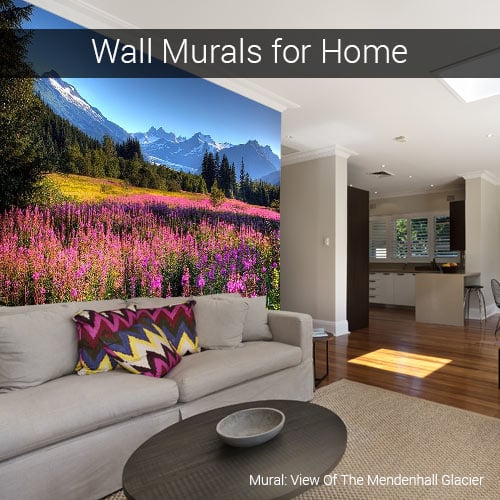 Wall Murals for Homes